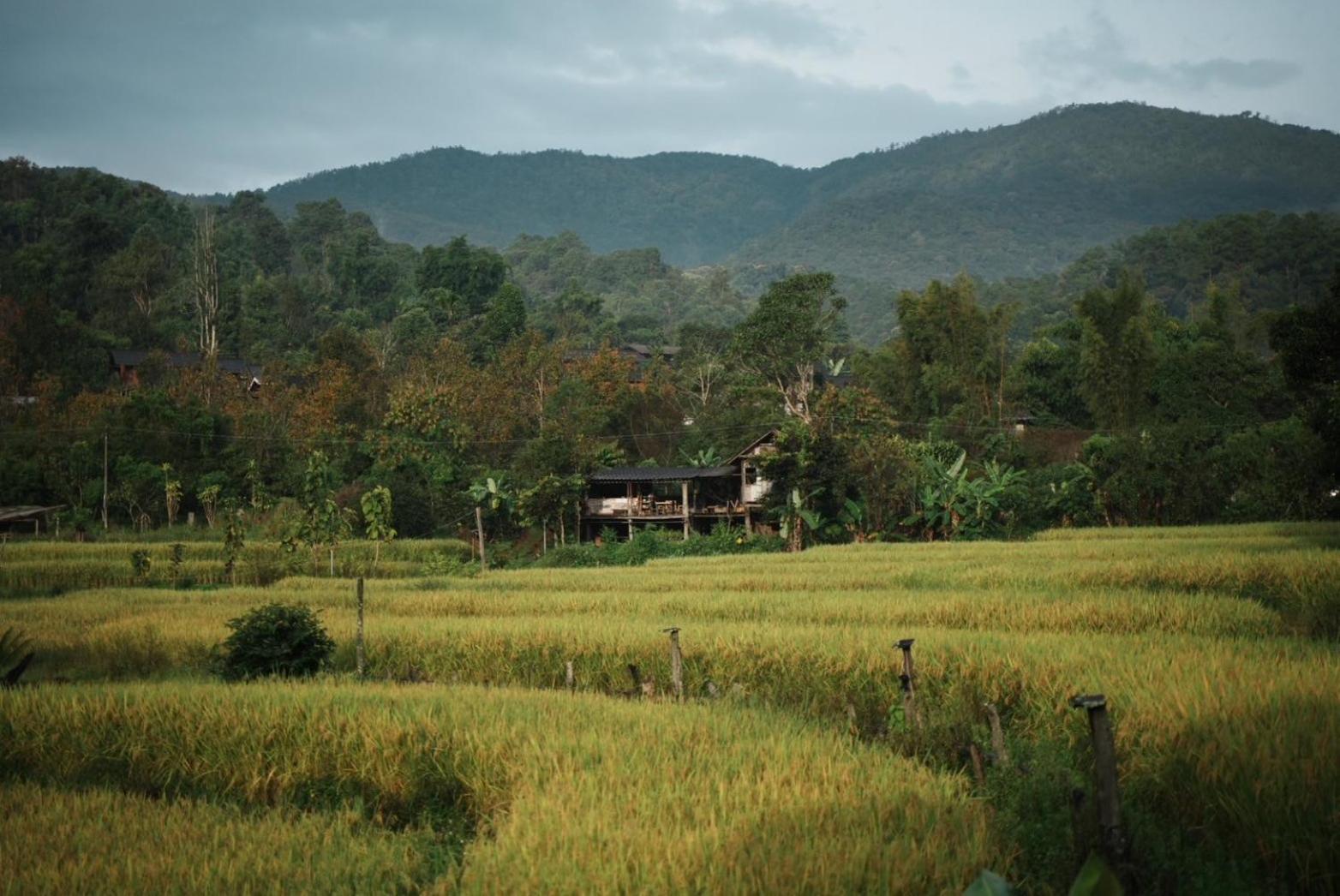 Por Joi ,Por Dee House Albergue Chiang Mai Exterior foto